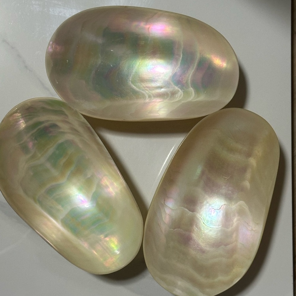 Iridescent Shell Decor Set